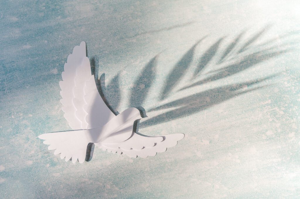 Sun, Comfort & Mini Escapes on Holy Spirit’s Day with WebTaxi 4 world peace day greeting card template dove flying blue